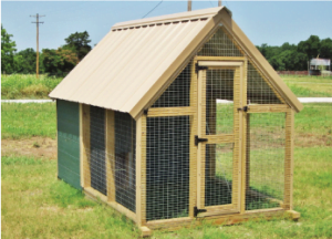 Chicken Coop