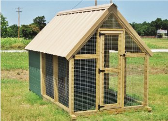 Chicken Coop