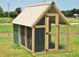 What you should know about Chicken Coops